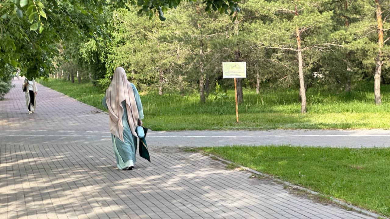 «Жұмыс беру арқылы қатарын толықтырып жатыр» - әлеуметтанушы сәләфилер туралы