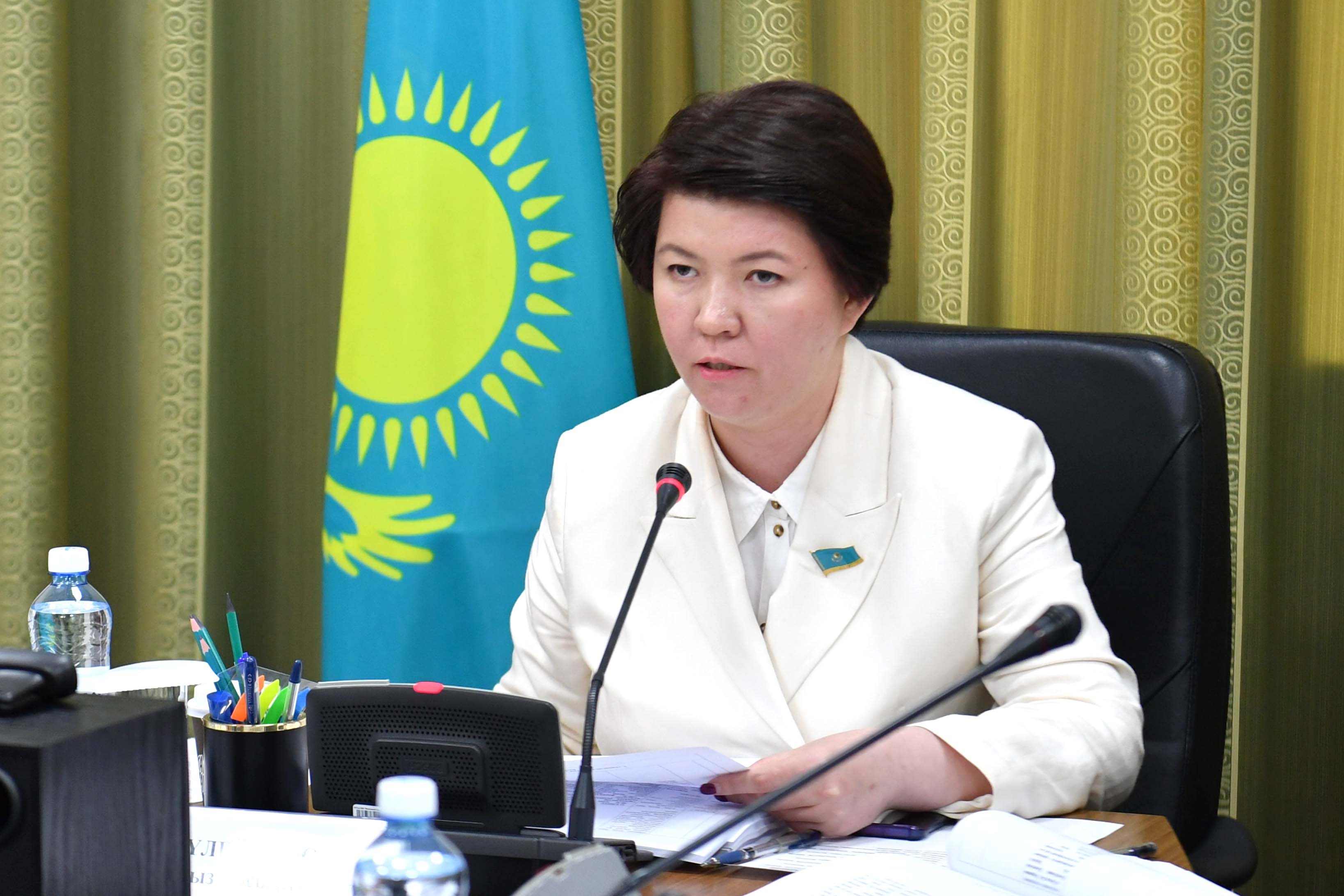 Назначен новый министр просвещения Казахстана