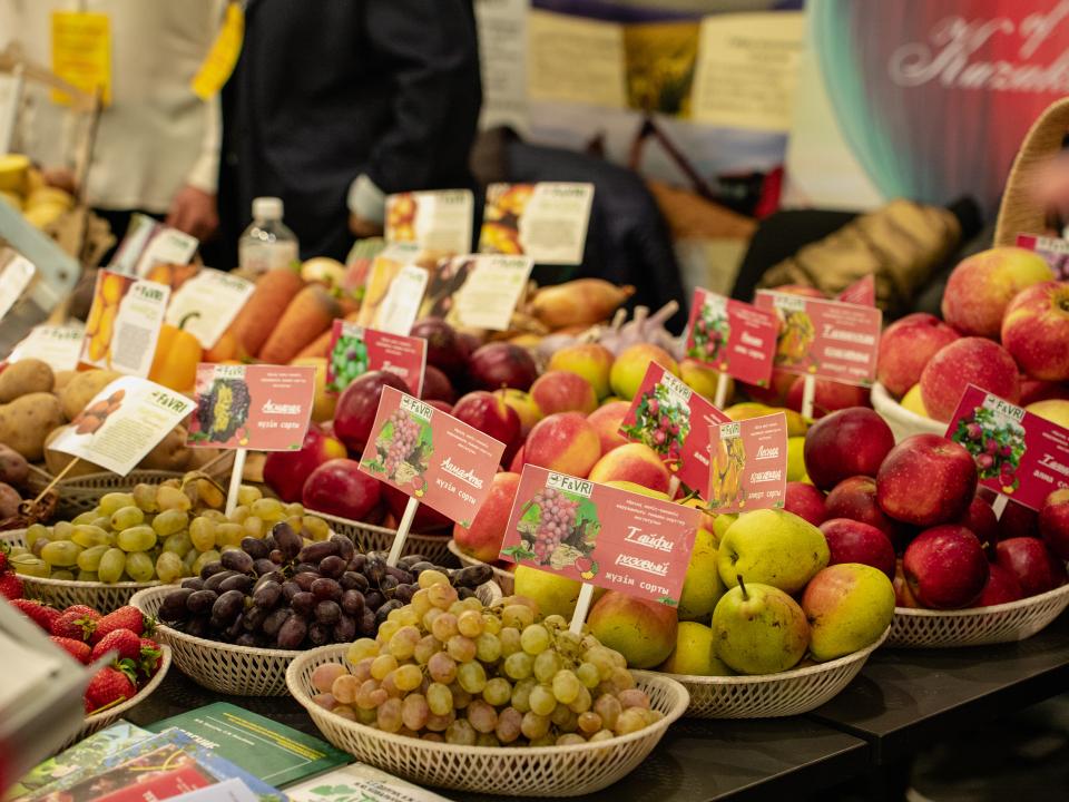 Аграрное сотрудничество: Казахстан создает новую платформу для инноваций